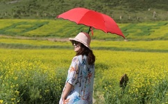 机械迷城完整中文版